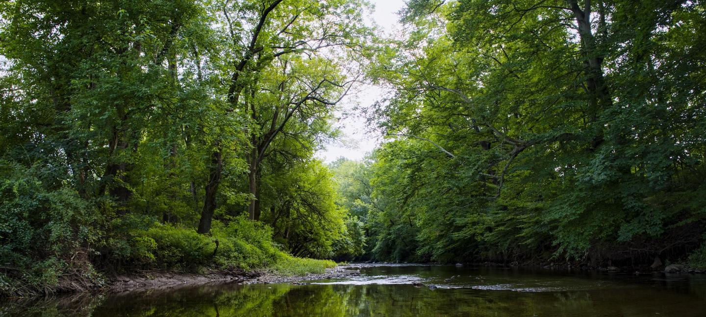 Sleep Inn & Suites Rehoboth Beach | Lewes | 2