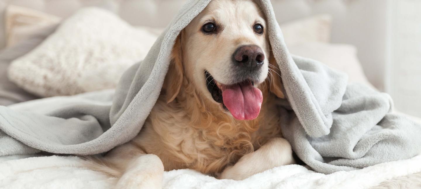 Sleep Inn & Suites Rehoboth Beach | Lewes | 1