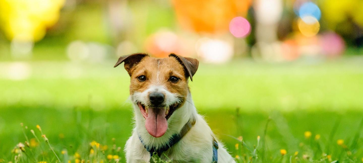 Sleep Inn & Suites Rehoboth Beach | Lewes | 2